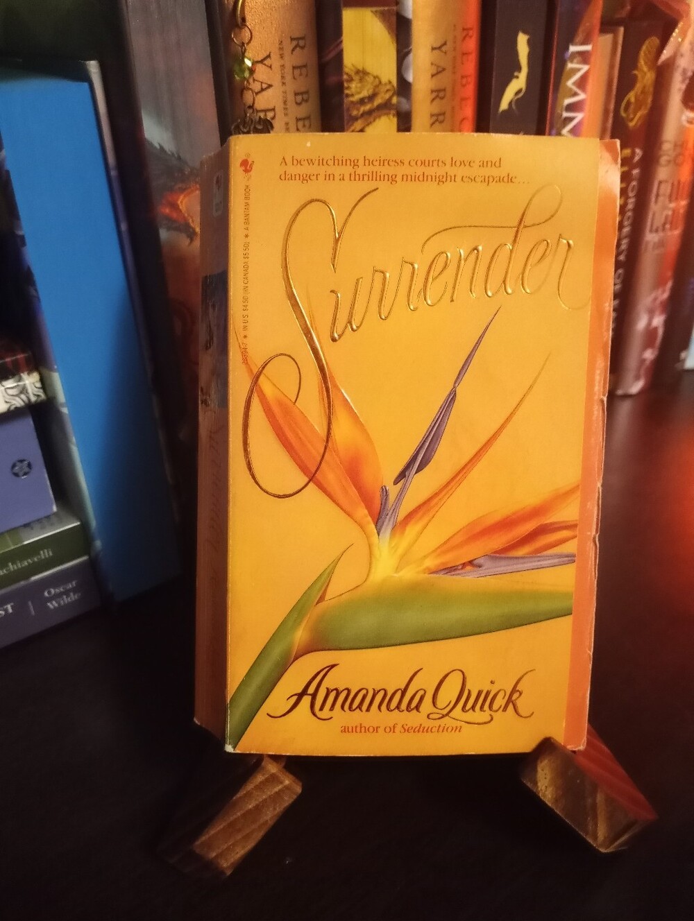 Surrender By Amanda Quick